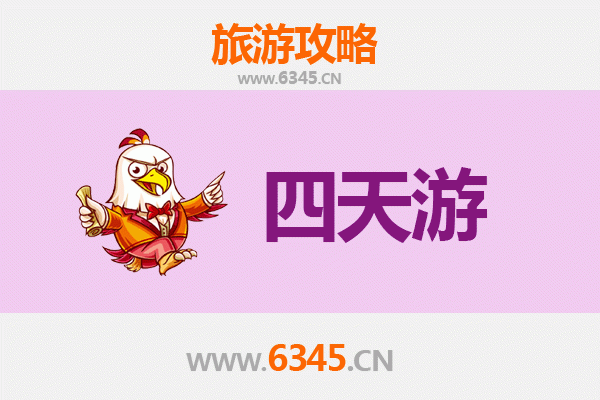 屯昌枫木镇四天三夜深度游攻略：雨林探秘与黎族文化体验