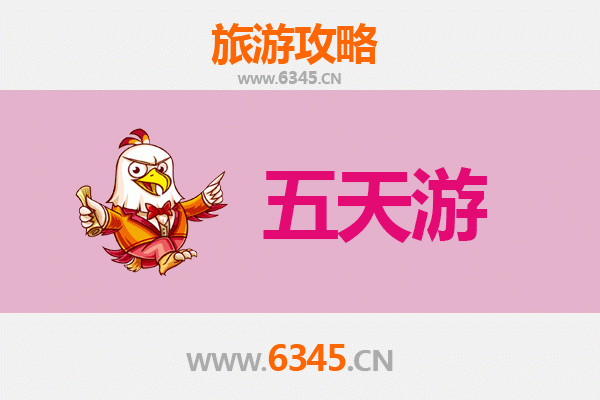 屯昌枫木镇五天四夜深度游攻略：雨林探秘与黎苗文化体验
